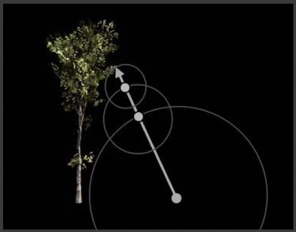 image-20210605162159033