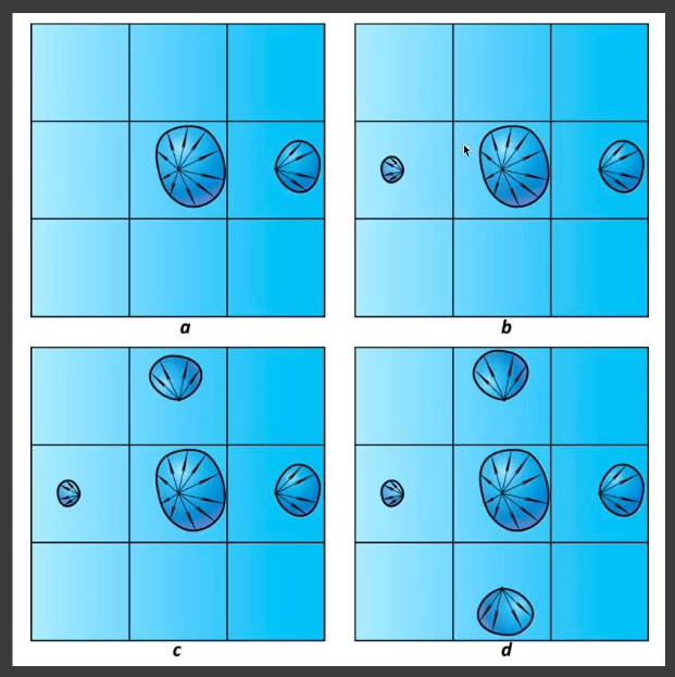 image-20210611144128176