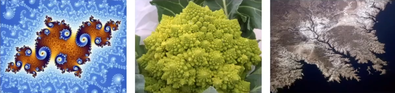 image-20210115175145939