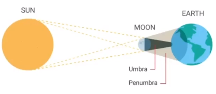 image-20210119234348144