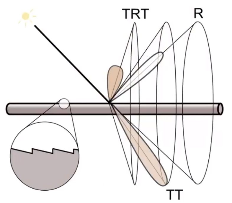 image-20210203195309428