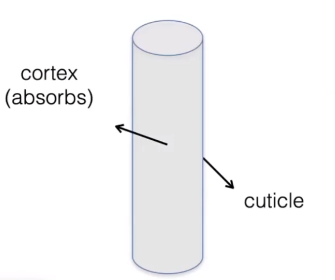 image-20210203195649107