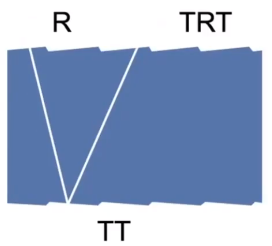 image-20210203195724481