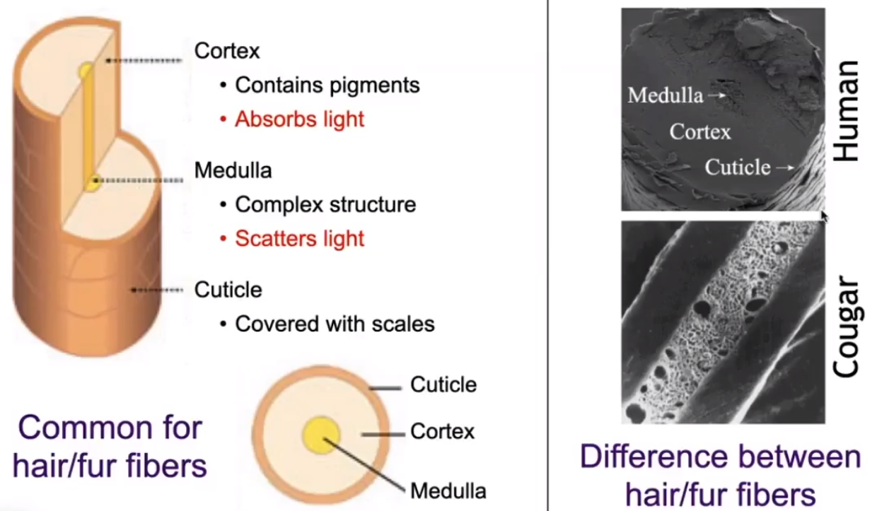 image-20210203200214085