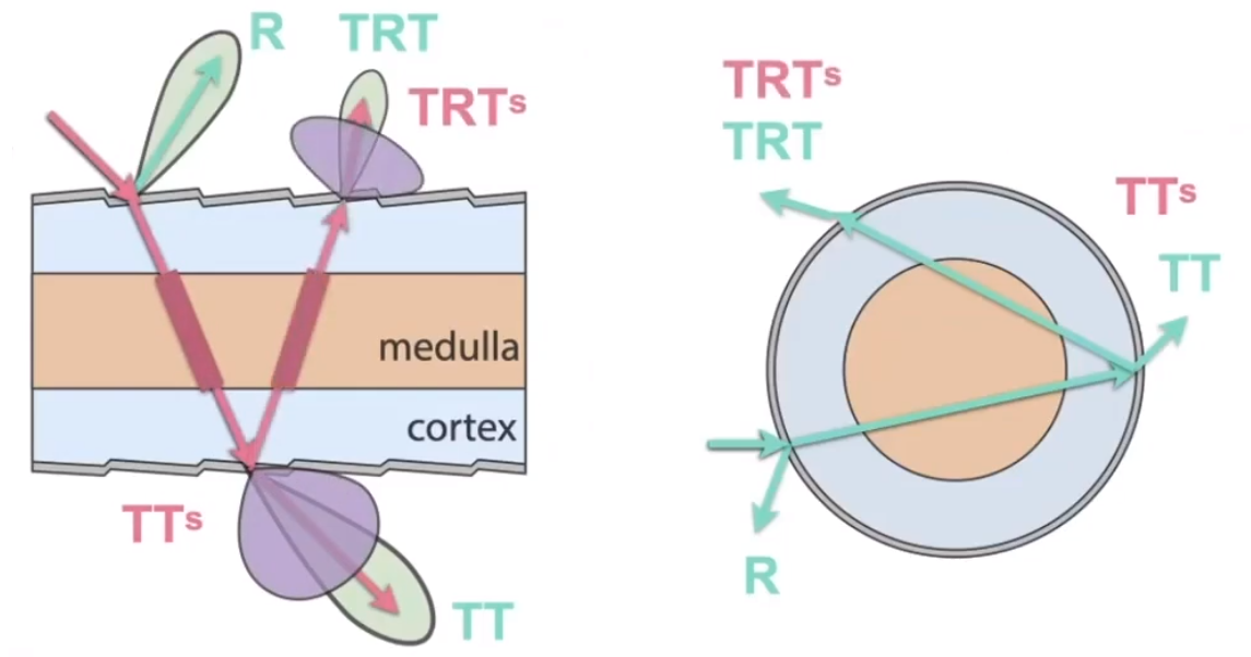 image-20210203200748192