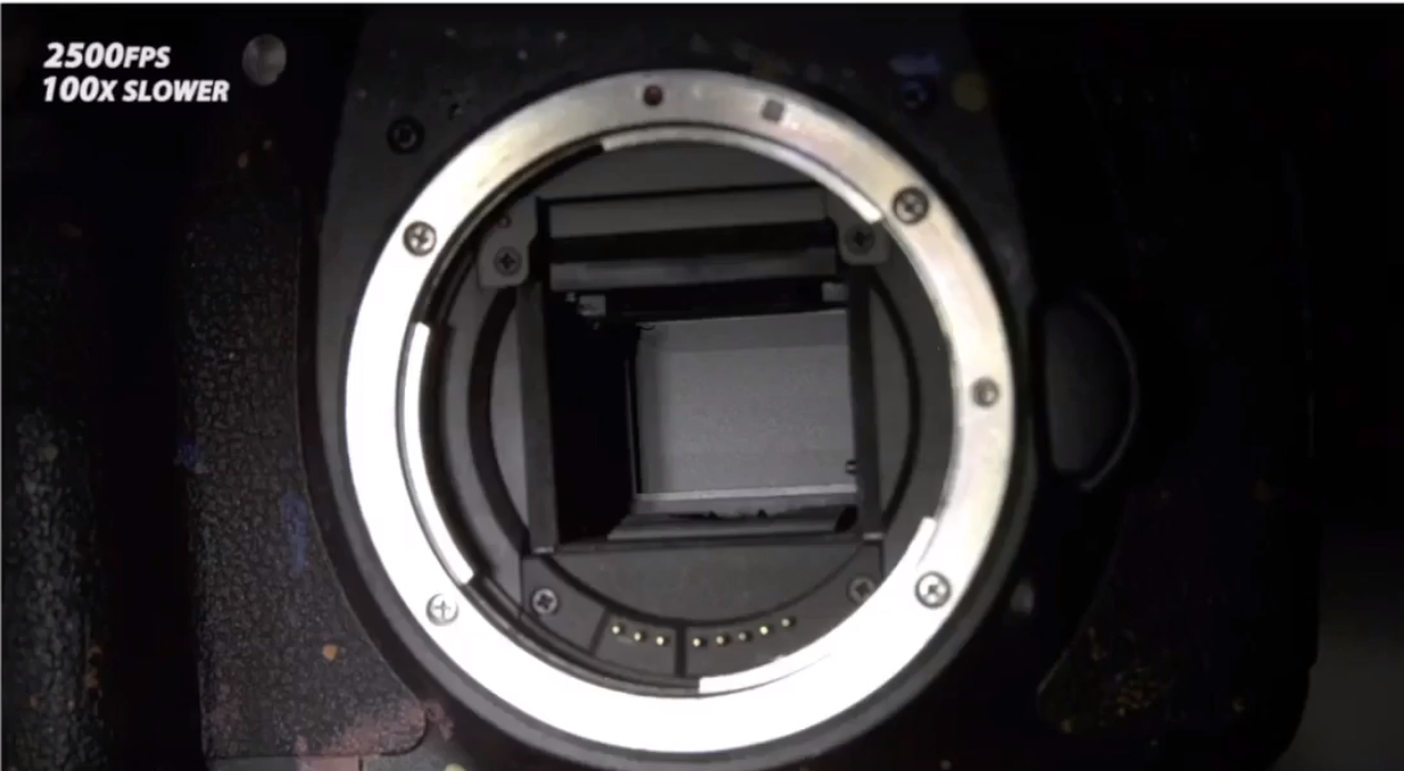 image-20210204095606098