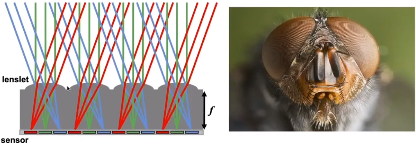 image-20210205174400135