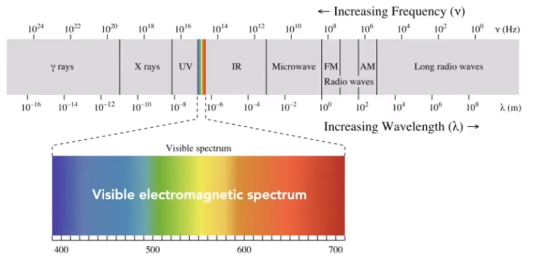 image-20210205190604383