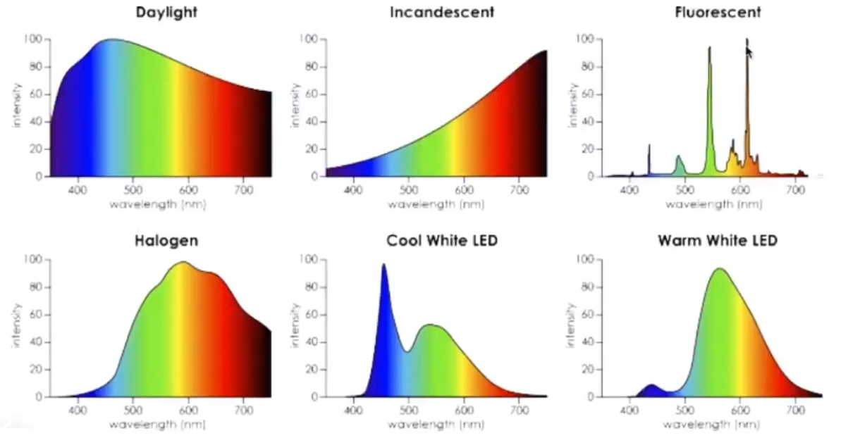 image-20210205190917660