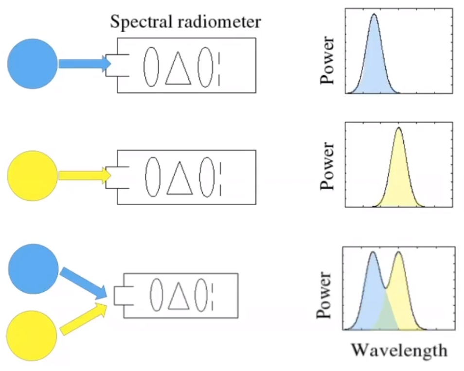 image-20210205191033486