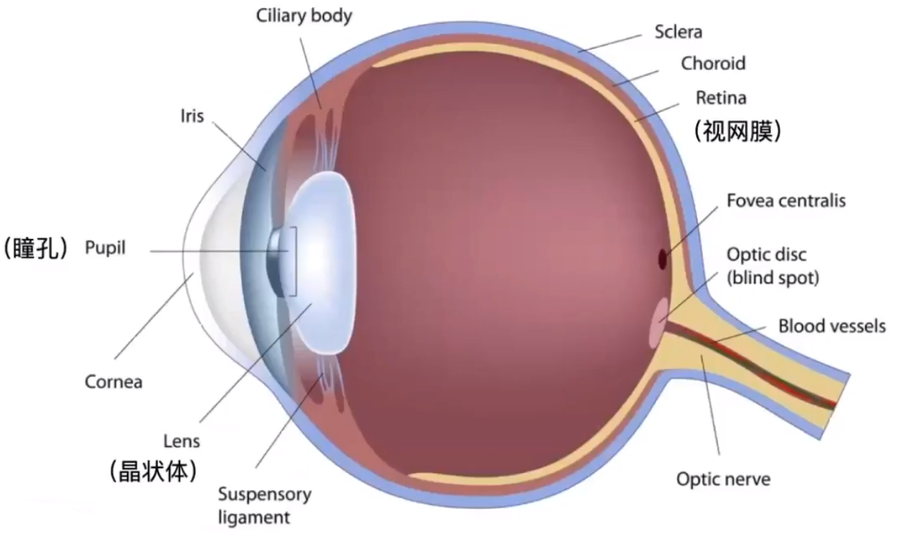 image-20210205191553917