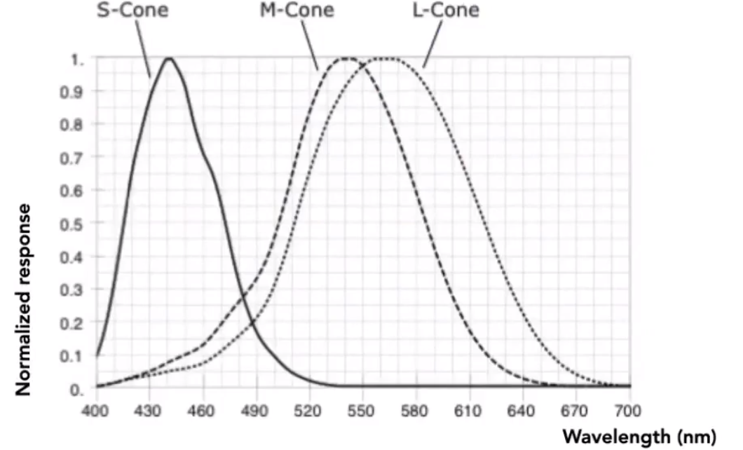 image-20210205192030270