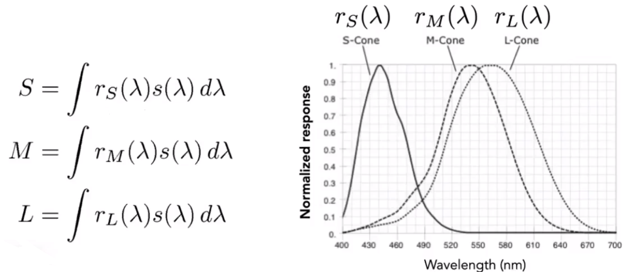 image-20210205192621859