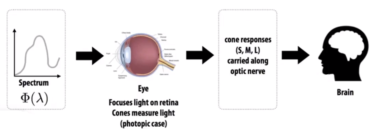 image-20210205192910706