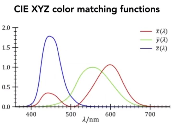 image-20210205202607150