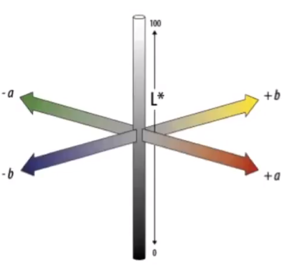 image-20210205205114797