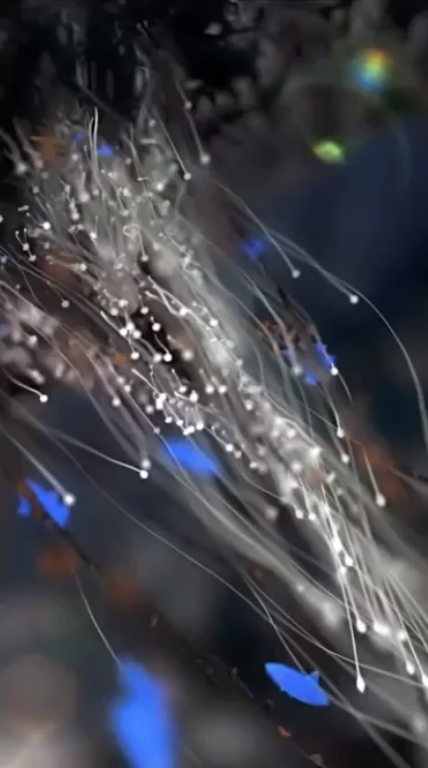 image-20210207112356013