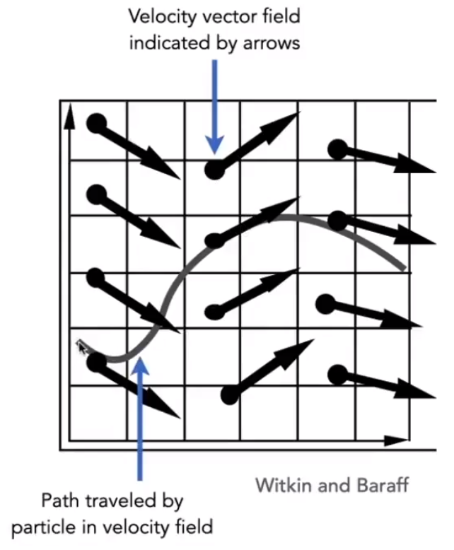 image-20210207164348850